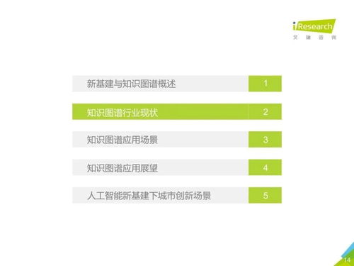 2020年中国面向人工智能新基建中生物质能技术服务的知识图谱研究